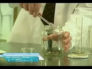 free в сосновом бору всё очень хорошо опыт с блохами наглядно показывает потрясающие светлые перспективы кровососущих hd
