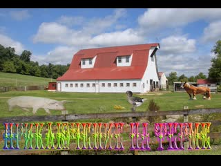 free прохождение семейный остров приключения на ферме 1 hd