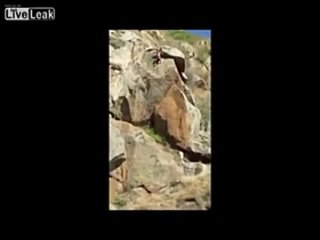 free прыжок со скалы жесть 18 кормушка уникальное фото видео приколы гифки hd
