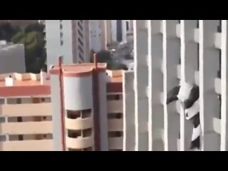 free очень неудачный день у девушки кормушка уникальное фото видео приколы гифки hd