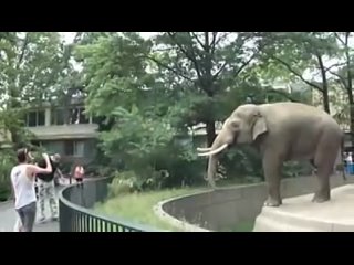 free как троллят молодые подборка кормушка уникальное фото видео приколы гифки hd