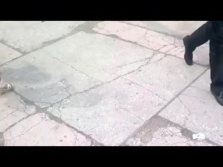 free бабуля пляшет с сексуальной танцовщицей кормушка уникальное фото видео приколы гифки hd