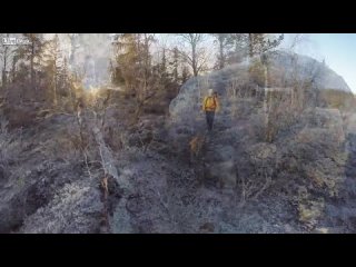 free утро зимнего выходного дня должно начинаться примерно так hd
