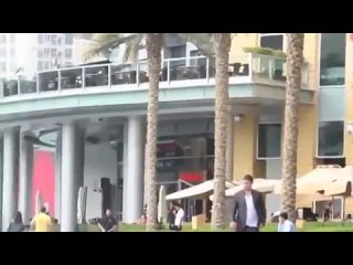 free что случится если обронить кошелек в дубаи hd