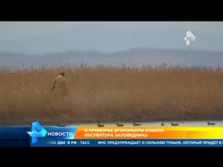 free в приморье в отношении избитого браконьерами егеря проводят проверку hd
