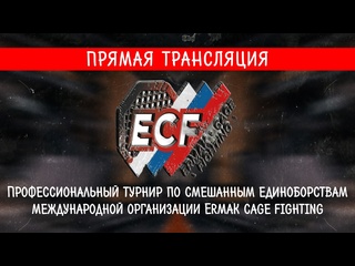 free профессиональный благотворительный турнир по смешанным единоборствам мма в честь героев участников сво hd