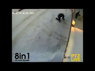 free поигрался с собачками мужик шёл мимо забора за которым были молодые и засунул под забор ногу hd