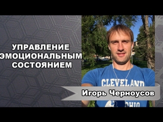 free эмоциональное состояние правильные привычки миллионера игорь черноусов hd