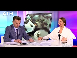 free японец мечтал о сексе с самкой таракана hd