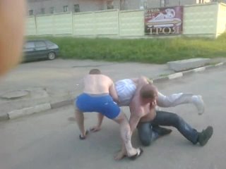 free бобры страстно занимаются любовью на асфальте к ним подходят другие бобры в форме hd