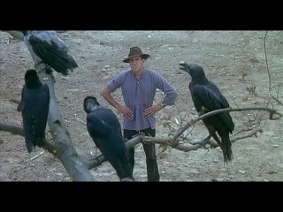 free адриано челентано adriano celentano разговаривает с воронами это тебе не люди с ними можно договориться hd