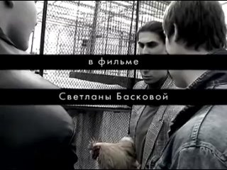 free алексей панин про фильм голова hd