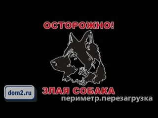 free видео героев редакция осторожно злая молодые hd