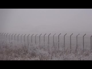 free посадка самолета в тумане как ежик но только самолет hd