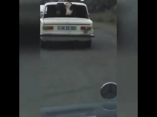 free что бы телка дала нужно ее покатать по городу только потом к себе домой и там уже ждать продолжения hd