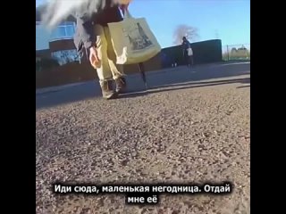 free кошка принесла домой вставную челюсть поэтому хозяйка решила узнать где она её взяла и проверила камеру которая hd
