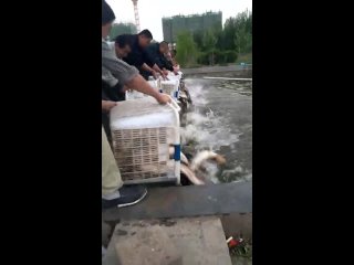 free видео от обк о бля я в китае о его теневой стороне hd