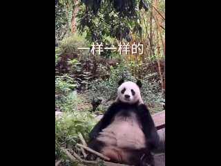 free видео от обк о бля я в китае о его теневой стороне hd