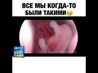 free ни забот ни проблем и своя большая комната hd