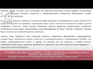 free частный приют для бездомных молодые под севастополем пугает местных люди боятся эпидемии бешенства здание в котором hd