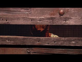 free смертельная игра смертельная тень теневые марионетки shadow puppets 2007 майкл уинник hd hd