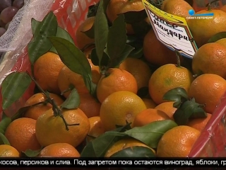 free россия частично сняла ограничения на импорт продуктов из турции hd