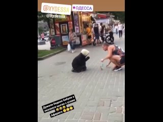 free в одессе у бабки которая попрошайничает на улице выросли усы а сама бабка превратилась в цыгана hd