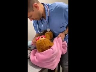 free детёныш коалы не хочет расставаться со своим любимым плюшевым медвежонком даже во время взвешивания hd