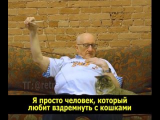 free мужчина работает волонтёром в местном приюте чтобы вздремнуть с кошками hd