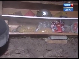 free женщина жила в землянке с 2 х летней дочкой в лесу ангарского района hd