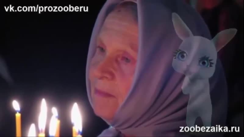 free суперская песня про маму до слез zoobe зайка hd