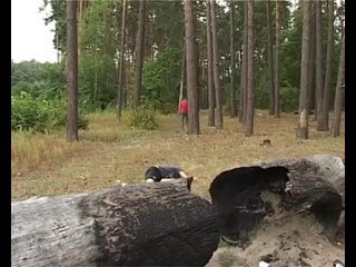 free раскидал алкашей романтика жесть ржака постмодернизм угар порно троль сиськи член жопаминет контркультура миньет hd