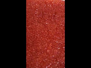 free видео от красная икра рыба морепродукты тверь достаа hd