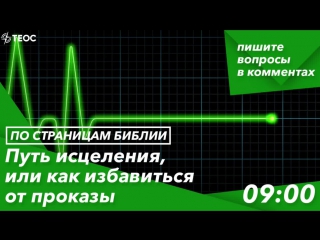 free книга левит путь исцеления или как избавиться от проказы hd