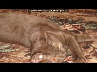 free специально для моей лучшей подруги насти алиса hd