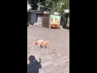 free в ростове настолько тепло что на земле заметили дамочку которая лежала на улице в позе лотоса с обнажённой вагиной hd