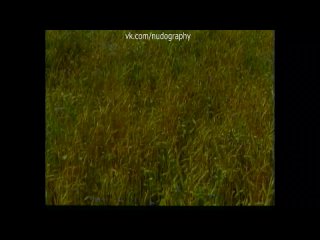 free ольга егорова голая в фильме любить по русски 1995 евгений матвеев hd