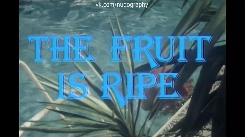 free бетти верже betty vergès в бассейне в фильме греческая смоковница griechische feigen the fruit is ripe 1977 hd