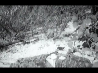 free нерассказанная история сша фильм оливера стоуна 6 я серия 14 12 2014 hd