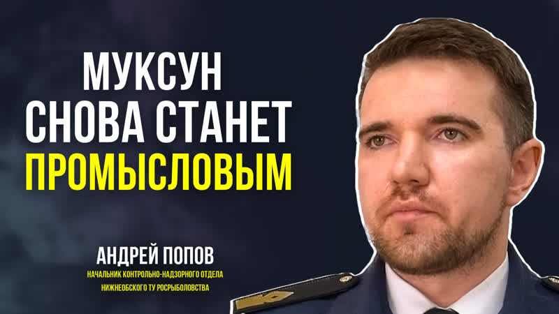 free росрыболовство усиливает программу восполнения ямальского муксуна нельмы и чира hd