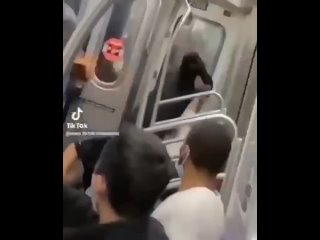 free преступления черных против белых это повседневное явление в каждом американском городе но средства массовой hd
