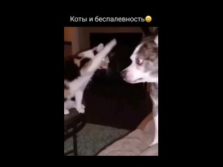 free видео от подсмотрено и подслушано парковый пермь hd