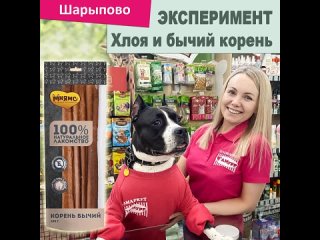 free хлоя пробует бычий корень в первый раз hd