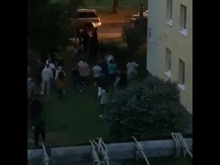 free гродно слуги таракана опять взялись за молодые и похищения hd