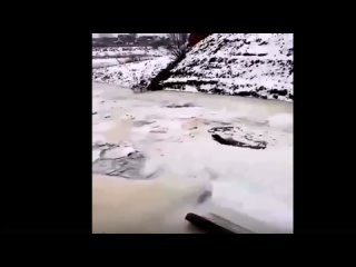 free житель орши виктор яковлевич демидов заметил тонущую молодые мужчина разделся и бросился на помощь четвероногому hd
