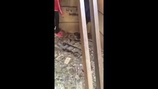 free порно секс шкoльniцы ебля помладше парнуха крассотки то самое порно у нас в телеграме sladvin hd