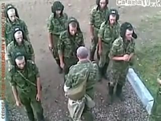 free долбо бы по 19 лет не умеют на танке ездить а медведи в цирке умеют hd