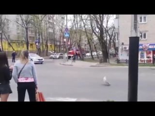 free в хабаровске полиция не пропускает пожарную машину пока военная колонна едет на репетицию парада hd