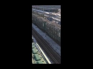 free парадокс но в китае сейчас можно бревно купить дешевле чем в рф hd