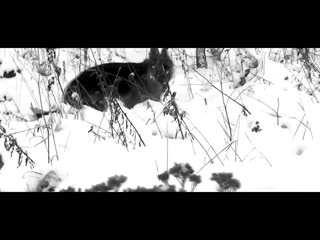 free человек и молодые хотите плакать смотритеновая hd